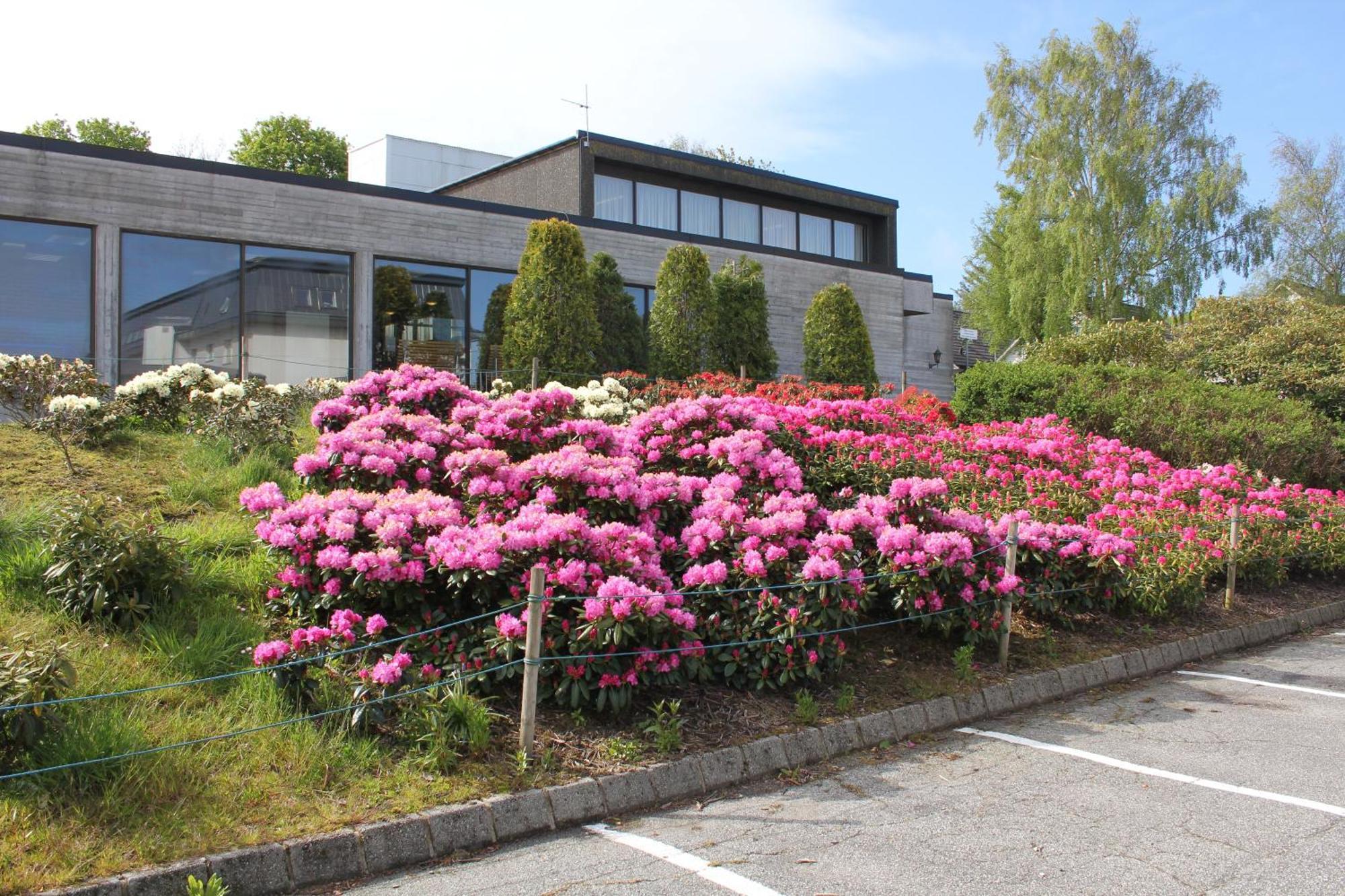 Solborg Folkehogskole Hostel 스타방에르 외부 사진