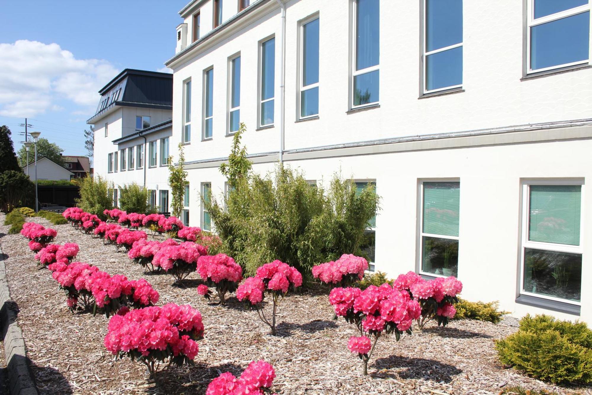 Solborg Folkehogskole Hostel 스타방에르 외부 사진